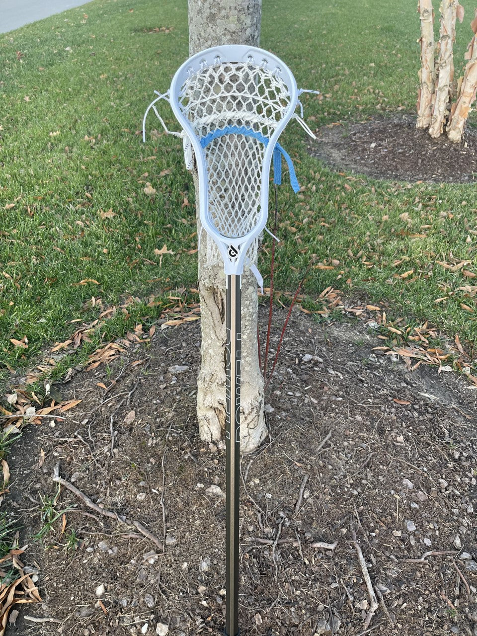 Pioneer II - Attack w/ Belmont shaft