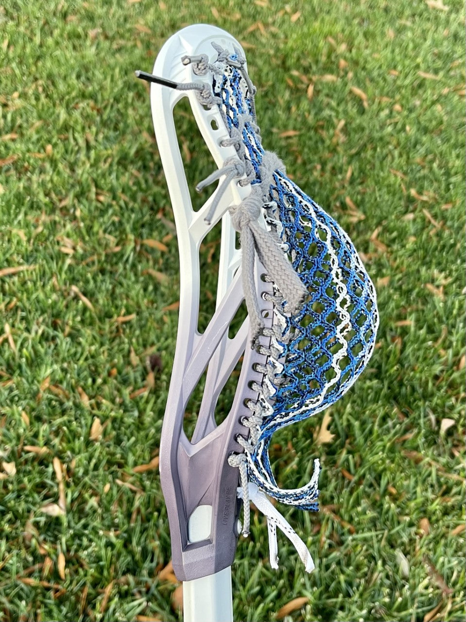 Epoch Z-Three Head